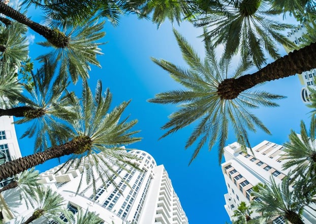 منتجات تنحيف في الاردن